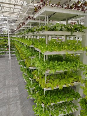 Βιότοπη Γεωργία Κρεμασμένα φυτά Υδροπονική νοημοσύνη Γεωργία