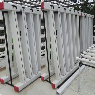 Σχέδιο υδροπονικής καλλιέργειας Χωρίς χώμα για την ανάπτυξη των φυτών