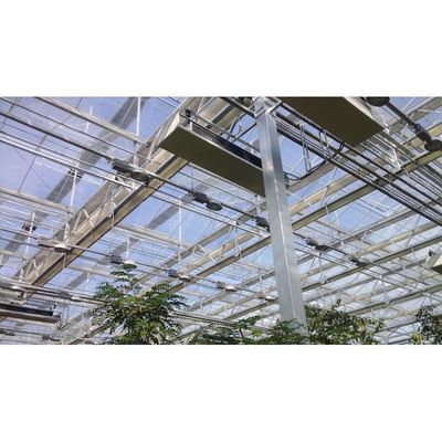 Εργαλεία για μανιτάρια θερμοκήπιο για τη γεωργία λαχανικών με χάλυβα πλαίσιο