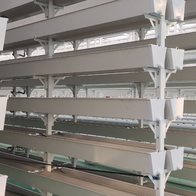Λευκό Φαγητό Καλλιέργεια Φρούτων PVC Φραουλάκια Βόρειο σύστημα καλλιέργειας