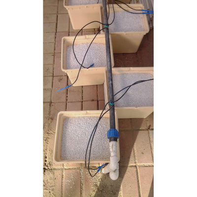 Μαύρο Multi_span θερμοκηπίου Grow Box Dutch Bato Bucket Υδροπονικό σύστημα Dutch Bucket