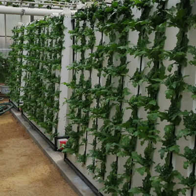 Συστήματα υδροπονικής καλλιέργειας με LED φως